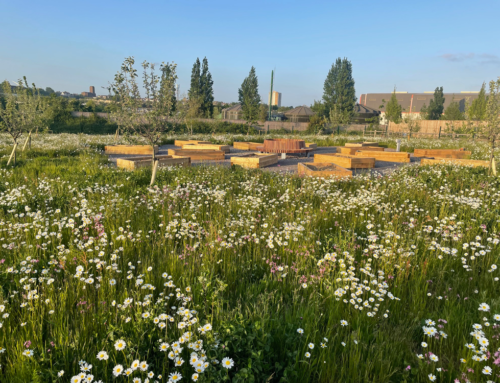 Springhead Park Allotments – An Update