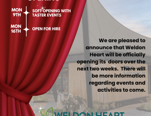 Weldon Heart – The Opening!