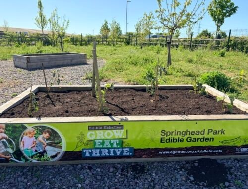 Springhead Park Community Garden